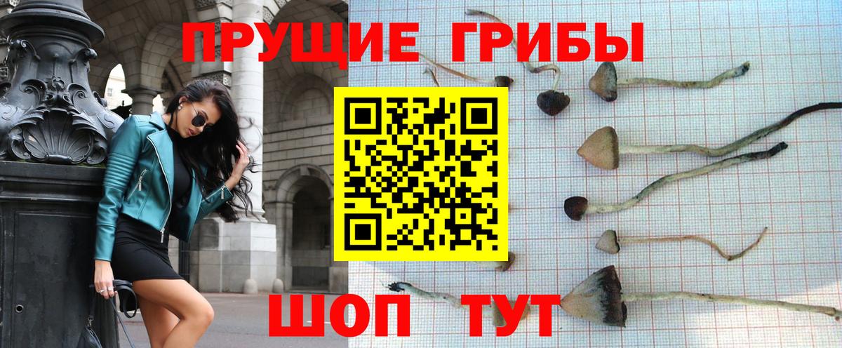 МАРИХУАНА  Каменка  ГАШИШ  Вход с VPN  ЭКСТАЗИ  Меф   Гашиш  Каннабис  МДМА  Метамфетамин  Cocaine 